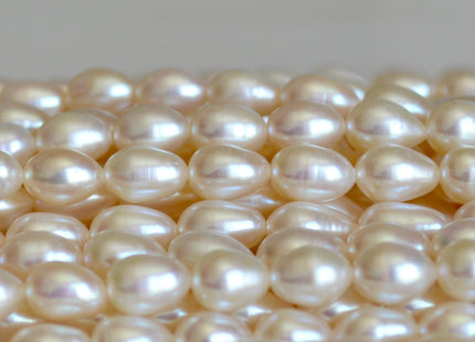 5.5x7.5mm AA Natural White Tear-Drop Rice Shape Freshwater Pearl Beads #819