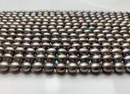 4-5x6-7 mm AAA Rice / Oval Freshwater Pearls Kendall Charcoal Gray Color Genuine Freshwater Pearls Beads Gray Color #1201