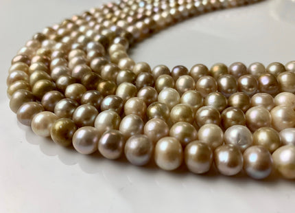 7-8 mm AA Natural Seaweed Champagne Color Potato Freshwater Pearl Beads Genuine All Natural Color Freshwater Pearls #1264