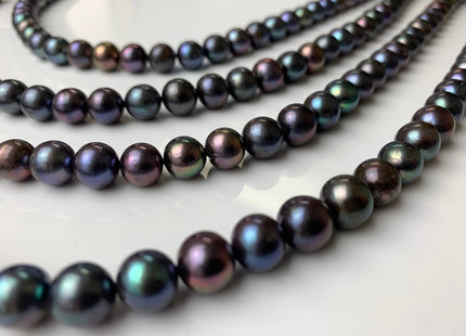 8.5-9 mm AA Peacock Semi-Round Freshwater Pearls Genuine High Luster Peacock Freshwater Pearls #1272