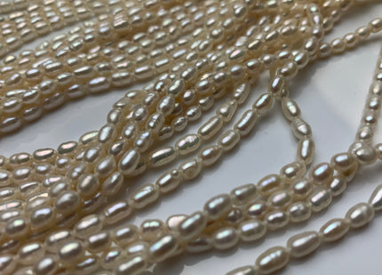 2.5x3-4 mm Natural White Rice / Oval Freshwater Pearl High Luster Freshwater Pearls Beads Small White Seed Pearl Beads #1380