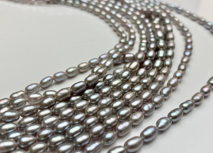 3.5-4x5-6 mm AAA Tiny Gray Color Rice / Oval Shape Freshwater Pearls Genuine Smooth And Shiny Freshwater Pearl Seed Beads #1409