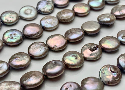 12 mm Champagne Gray Color Flat Coin Freshwater Pearl Beads Genuine Champagne Gray Freshwater Coin Pearls #1547