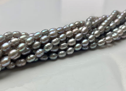 4x6-7 mm Gray Color Rice / Oval Freshwater Pearls Genuine Freshwater Pearl Beads High Luster Freshwater Pearls #1705