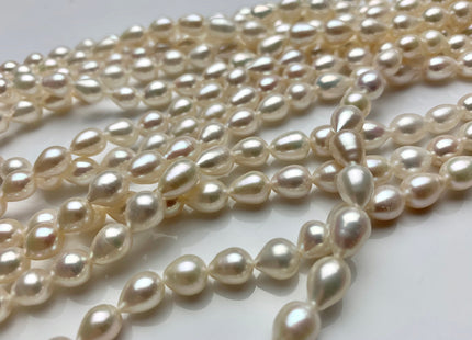 7x8-10 mm AAA Half Strand Natural White Tear Drop Shape Freshwater Pearl Beads Genuine High Luster Tear Drop Shape Freshwater Pearls #1823