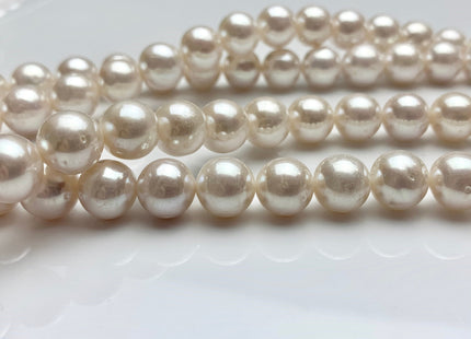 9.5-10mm AAA Extra Shiny Natural White Off Round Freshwater Pearl Beads Genuine Natural Pearl Beads, High Luster White Bridal Pearls #1576