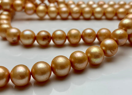 9 - 10 mm AA Gold Champagne Potato Freshwater Pearl Beads Genuine Champagne Freshwater Pearls Gold Freshwater Pearl Beads #136