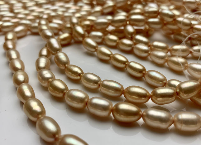 6x8-10 mm AAA Champagne Color Freshwater Pearls Long Rice/Oval Shape Pearl Beads Genuine High Quality Freshwater Pearls. #1680