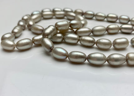 6x10-11 mm AAA Champagne Or Gray Color Freshwater Pearls Long Rice/Oval Shape Pearl Beads Genuine High Quality Freshwater Pearls #1681