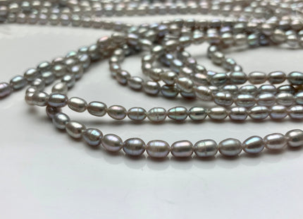 4x6-7 mm Gray Color Rice / Oval Freshwater Pearls Genuine Freshwater Pearl Beads High Luster Freshwater Pearls #1705