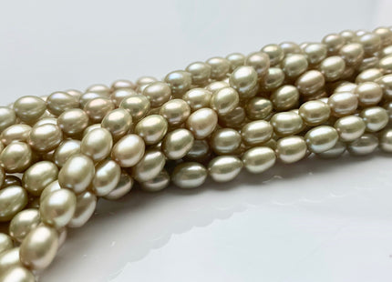 4.5x6 mm AAA Pale Sage Green Color Rice/Oval Freshwater Pearl Beads Smooth Lustrous Pearls #P1038