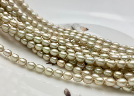 4.5x6 mm AAA Pale Sage Green Color Rice/Oval Freshwater Pearl Beads Smooth Lustrous Pearls #P1038