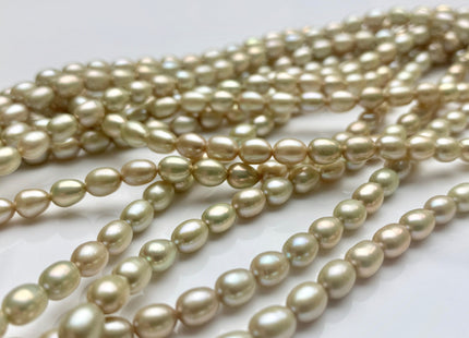 4.5x6 mm AAA Pale Sage Green Color Rice/Oval Freshwater Pearl Beads Smooth Lustrous Pearls #P1038