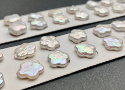 One Pair 13-14 mm AAAA Natural White Flat Flower Coin Freshwater Pearls Half Drilled Paired Earring High Luster Quality Coin Pearl #P1150