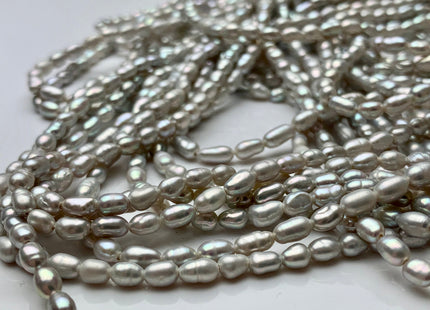 3.5x5-6 mm Silver Gray Color Rice / Oval Freshwater Pearls Genuine Freshwater Pearl Beads Small Tiny Freshwater Pearls #P1386