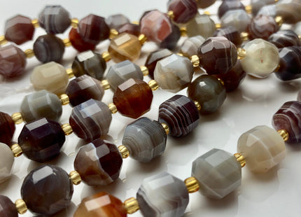 9x10mm 11x12mm AAA Half Strand Faceted Energy Prism Cut Botswana Agate Genuine Double Terminated Points Natural White Gray Agate Beads #3603