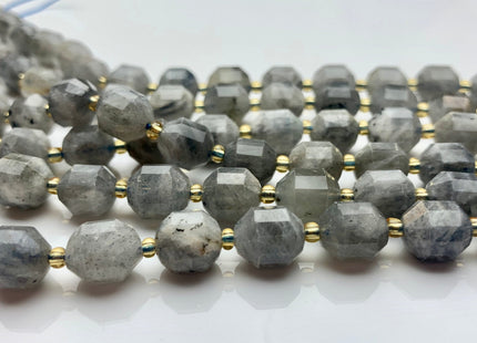 9x10mm Half Strand Faceted Energy Prism Cut Labradorite Gemstone Genuine Double Terminated Points Gray Labradorite Beads 17 Pieces #3594