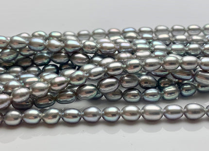 3.5-4x5-6mm AAAA Silver Gray Rice/Oval Freshwater Seed Pearl Beads Genuine Super High Luster Tiny Cultured Freshwater Pearl 75 Pieces #P1609