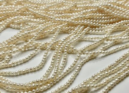 2 mm AA Natural White Tiny Freshwater Potato Pearl Beads Genuine Freshwater Natural Seed Pearl Beads #P1692