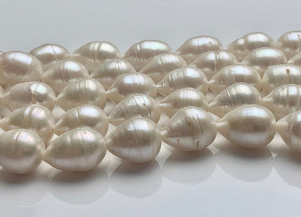 11x14-15 mm Natural White Tear-Drop Rice Shape Freshwater Pearl Beads Genuine Very Rare Natural Freshwater Ringed Pearls 24 Beads #P1686