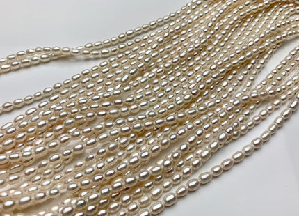 4x6 mm AAA Large Hole Rice Oval Freshwater Pearl Hole Size 1.0mm Genuine High Luster Natural White Small Tiny Rice Pearl #P1817