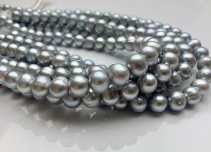 10-11 mm AA Gray Color Semi Round Freshwater Pearl Beads Genuine High Luster Silver Gray Color Cultured Freshwater Pearls 42 Pieces #P1807