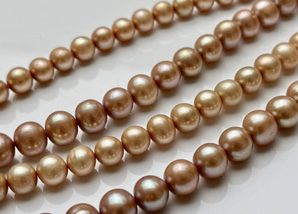 7 mm Or 8 mm AA Champagne Semi Round Freshwater Pearl Beads Genuine Freshwater Pearl Beads High Quality Freshwater Pearls #1226