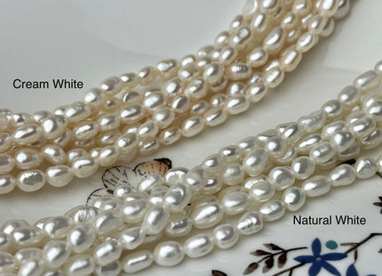 3-5x5-7mm AAA Natural White Smooth Rice Nugget Freshwater Pearl Beads Genuine White High Luster Tiny Rice Nugget Pearls 57 Beads #P2246