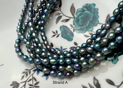 5-5.5 mm AAAA Rainbow Peacock Color Super High Luster Baby Edison Baroque Freshwater Pearl Beads Genuine Small Edison Pearls #P2252