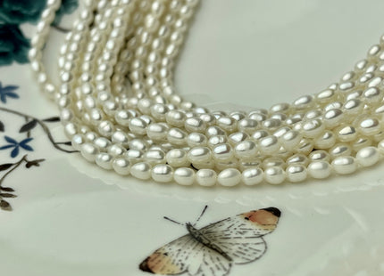 3.5-4x5 mm AA Natural White Rice Tiny Seed Freshwater Pearls Genuine Natural Rice/Oval Freshwater Pearls #P2310