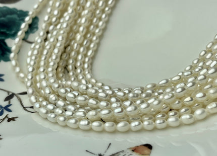 3.5-4x5 mm AA Natural White Rice Tiny Seed Freshwater Pearls Genuine Natural Rice/Oval Freshwater Pearls #P2310
