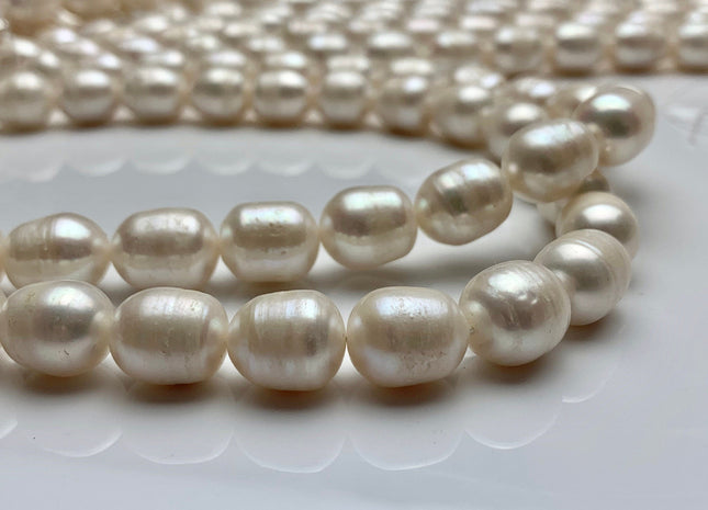11x14 mm Natural White Rice/Oval Potato Freshwater Pearls Genuine Natural Freshwater Pearl Beads #1477