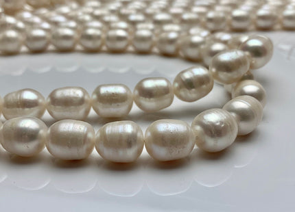 11x14 mm Natural White Rice/Oval Potato Freshwater Pearls Genuine Natural Freshwater Pearl Beads #1477