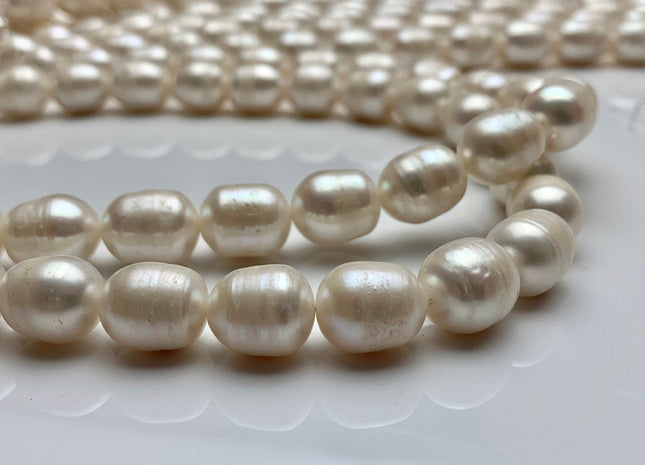 11x14 mm Natural White Rice/Oval Potato Freshwater Pearls Genuine Natural Freshwater Pearl Beads #1477