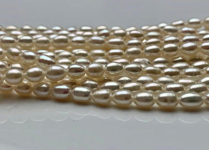 WHOLESALE 4.5-5 x 6.5-7 mm AAA Natural White Rice Freshwater Pearl Genuine High Luster Pearl Beads Bridal Pearls Wholesale Pearls #83