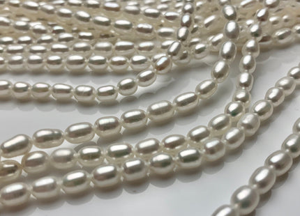 3.5-4x5mm AAAA Natural White Rice/Oval Freshwater Seed Pearl Beads Genuine Super High Luster Tiny Cultured Freshwater Pearl 75 Pieces #P1608