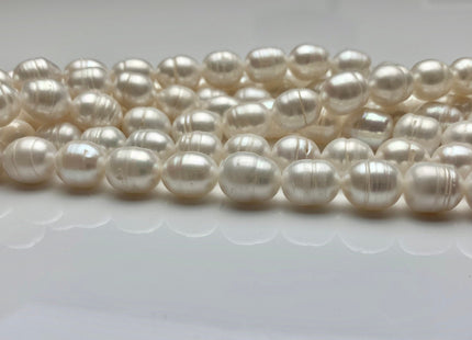 WHOLESALE 10x12 mm Natural White Rice/Oval Ringed Freshwater Pearl Beads Genuine Natural White Freshwater Pearls #301