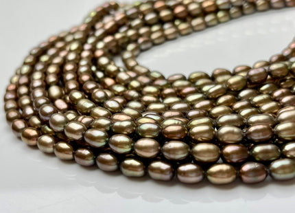 5.5x7 mm AAA Rice/Oval Freshwater Pearls Metallic Tan Color Genuine Freshwater Metallic Tan Rice Pearl Beads 54 Pieces #P1521
