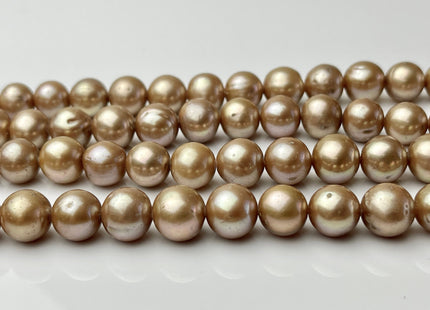 10mm AAA Large Hole Off Round Champagne Beige Freshwater Pearl Beads Hole Size 1.5 Genuine High Quality High Luster Pearls 40 Beads #P2240
