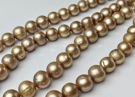 10mm AAA Large Hole Off Round Champagne Beige Freshwater Pearl Beads Hole Size 1.5mm 2.2mm Genuine High Luster Pearls 40 Beads #P2240
