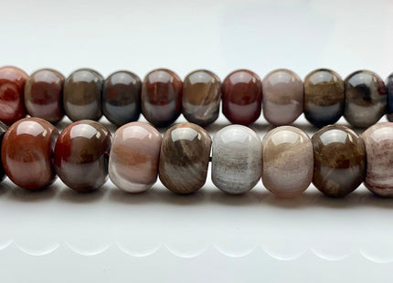 9x14 mm AAA Smooth Rondelle Natural Petrified Wood Beads Taupe Beige Brown Color High Quality Gemstone 15.5 Inches Strand 40 Beads #2729