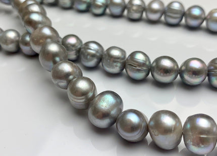 11-12mm Gray Ringed Potato Freshwater Pearl Beads Genuine Freshwater Pearls Ringed Potato Freshwater Pearls #1170