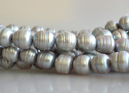 12-14 mm Large Hole Ringed Silver Gray Freshwater Pearl Beads, 2 mm Hole, Large Hole Genuine Cultured Freshwater Pearls #157