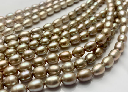 6-7x8-10 mm AAAA Rice Oval Freshwater Pearl Beads Light Sage Green Color Genuine Freshwater Pearl Beads Greenish Champagne Pearls #P1646