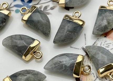 Gemstone Shark Tooth Horn Shape Charms for Necklace, Jade Lapis Labradorite Gemstone Pendant for Jewelry Making, 10x20 mm, One Piece #CR0051