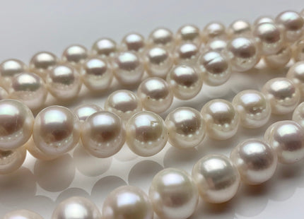 10 mm AAA Natural White Round Freshwater Pearls Genuine High Luster Natural Lustrous Cultured Freshwater Pearls 40-42 Pieces #P1326