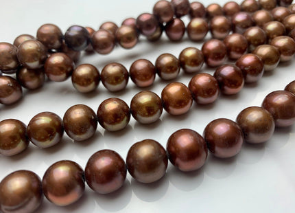 AAA 11.5-12 mm Semi-Round Chocolate Brown Genuine Freshwater Pearl Bead, Brown Freshwater Pearls, Large Round Brown Pearl #176