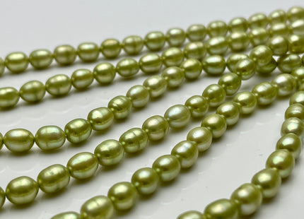 5.5x6-7 mm Rice Oval Freshwater Pearl Beads Light Green Color Genuine Smooth Freshwater Pearl Beads Green Color Oval Pearls #P2206