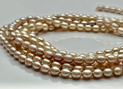 6x7-8 mm AA Champagne or Gold Rice Oval Freshwater Pearl Beads Genuine Gold or Champagne Color Rice Freshwater Pearls #P2024