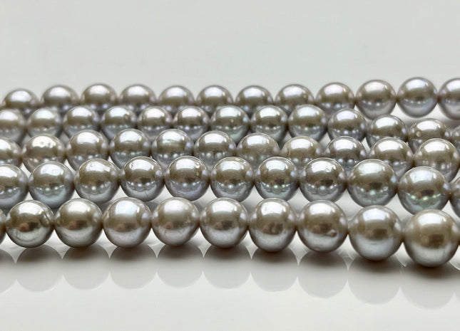 8 mm AAA Extra Shiny Gray Color Perfect Round Freshwater Pearls Genuine Natural Pearl Beads High Luster Gray Bridal Pearls #P1682